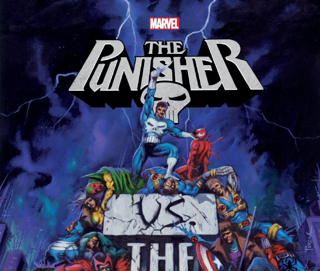 punisher vs marvel universe